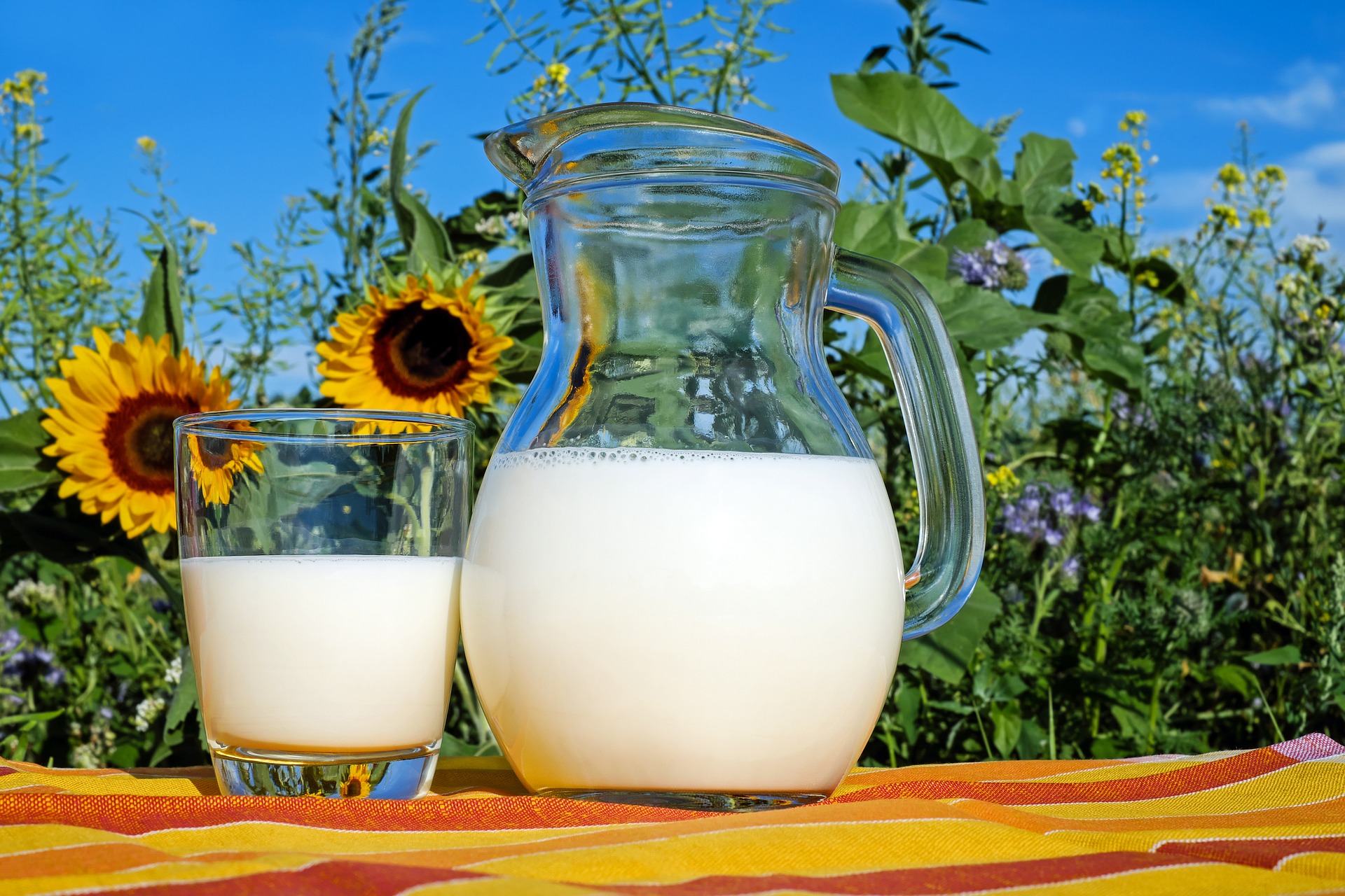 A tejtermékek fogyasztása csökkentheti a szívbetegség kockázatát