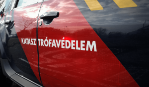 lakástüzek, tótkomlós, műszaki, tűzoltókat, lakástűz, békés, orosházi, mezőberényi, Tótkomlóson, segélykérés, megyei, kevermesen, Gerendáson, Kunágotán, orosházán, Méhkeréken, 46-os, viharos, magasból, békés, tűzvédelmi, gyomaendrődön, tótkomlóson, szén, sportcsarnokban, mezőkovácsháza, katasztrófavédelmi, bélmegyer, tarhos, 47-es főút, karambol, katasztrófa, szén-monoxid, villanyoszlopnak