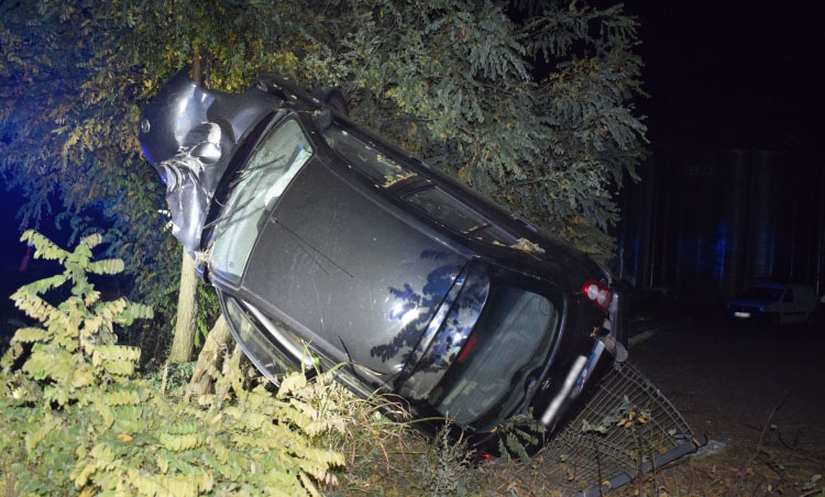 Kábítószer hatása alatt ütközött fának autójával egy férfi Medgyesegyháza közelében
