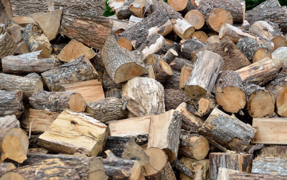 Útmutatóval segíti a Nébih a fakereskedő vállalkozásokat