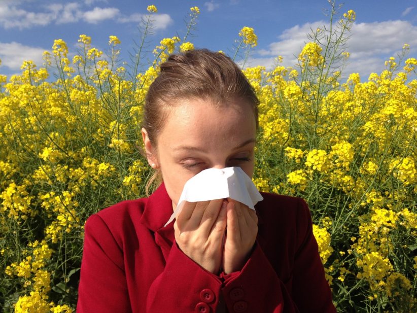 pollenkoncentráció allergia