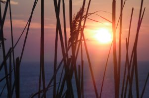 nyár, meleg, időjárás, hőség, kánikula