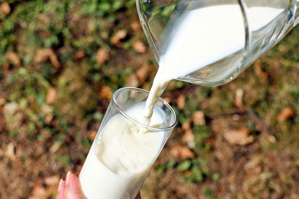 Emelkedhet a tej és a tejtermékek ára 