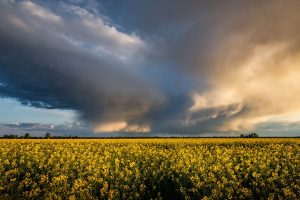 Zivatarveszély, elsőfokú, hőség, zivatarok, felhő, hidegfront