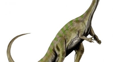 dinoszauruszfajt
