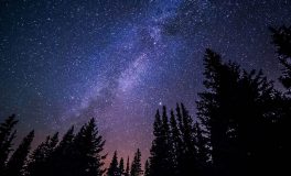 csillaghullás, Vénusz, Leonidák meteorraj