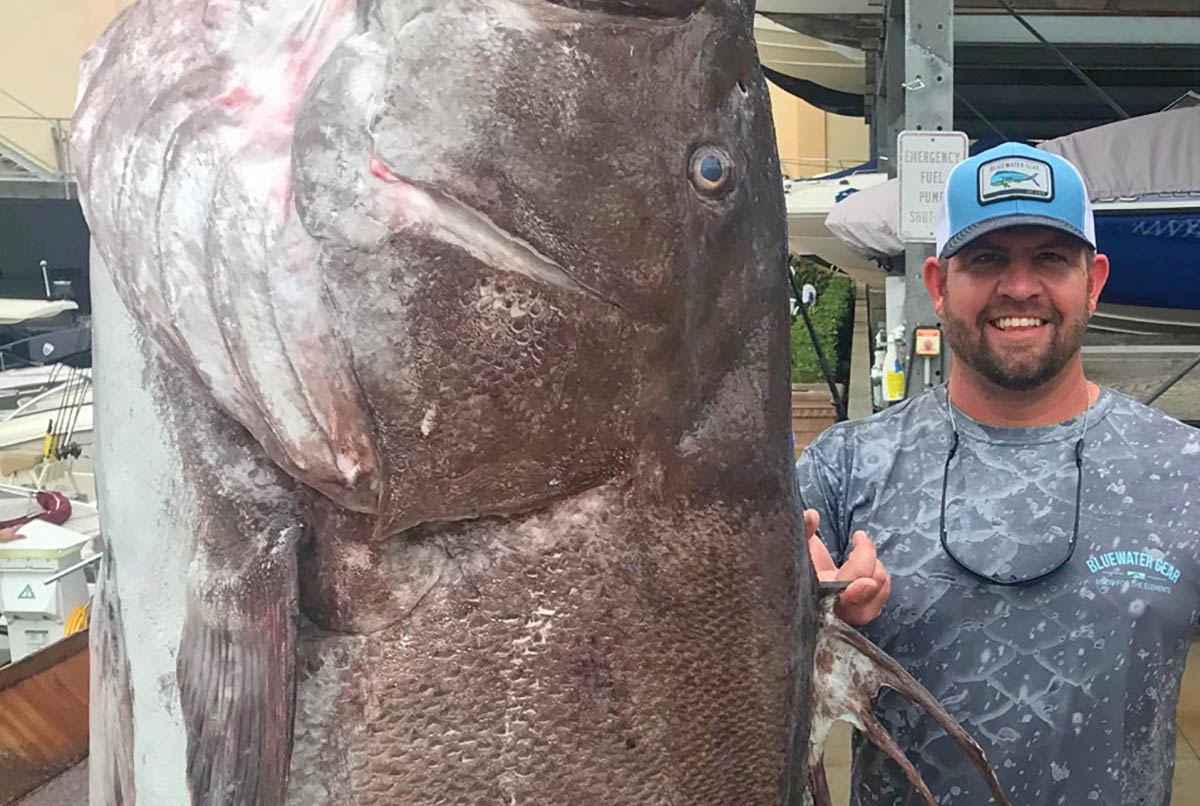 160 kilós sügért fogott ki egy horgász
