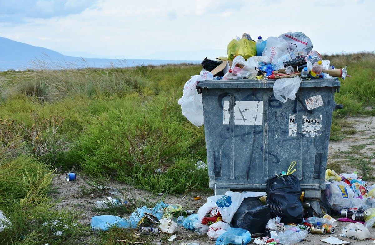 Magyar Közút: 6000 köbméter az illegális útmenti hulladék