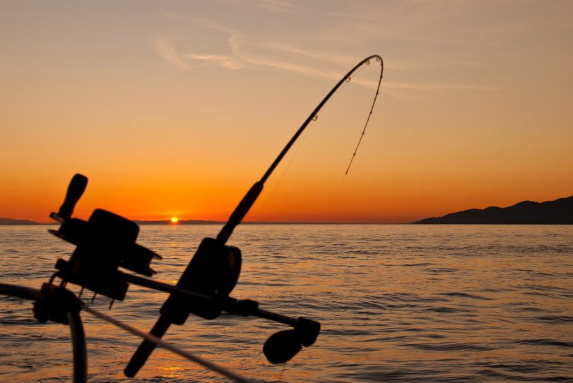 horgász, halgazdálkodási, balatoni horgászjegy