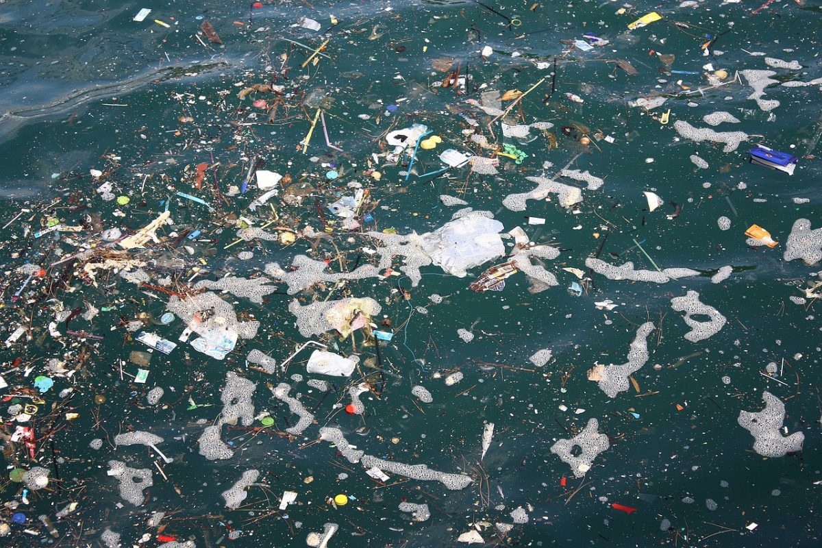 Műanyagot lebontó tengeri gombát fedeztek fel