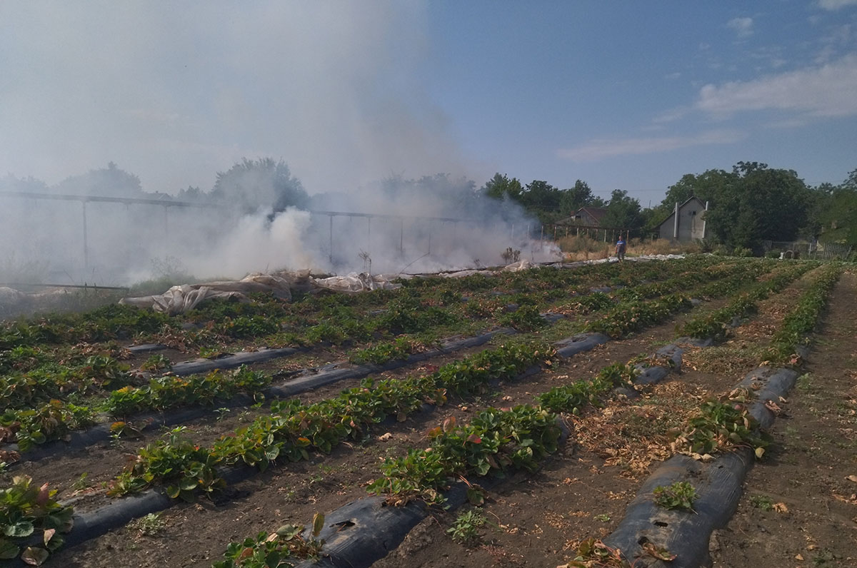 Szabadtéren keletkezett tűzesetekhez riasztották a Békés megyei tűzoltókat