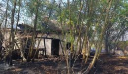 Kigyulladt két telek és egy lakatlan tanyaépület Orosháza külterületén