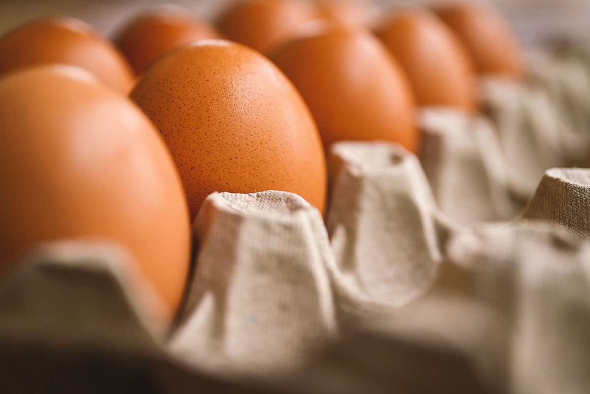 Tojástermelők: tojáshiány alakulhat ki az árstop miatt