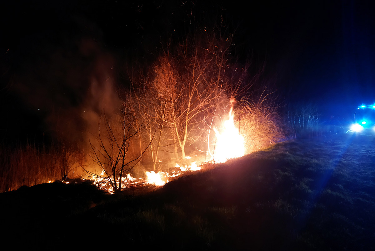 Két helyszínen égett a nádas Kamut közelében