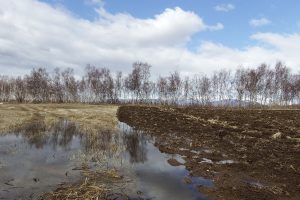 A sok csapadék segíti a talajok feltöltődését A sok csapadék segíti a talajok feltöltődését