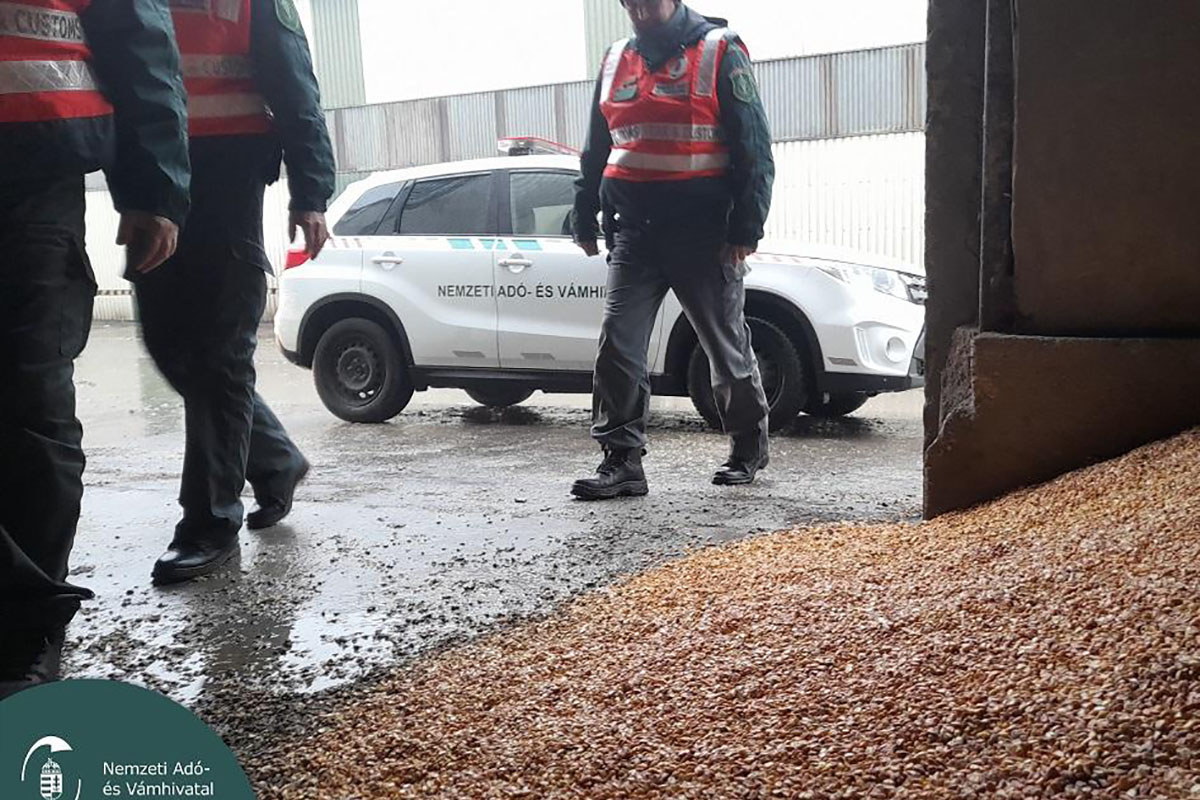A NAV az ország egész területén fokozottan ellenőrzi a gabonát szállító járműveket
