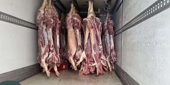 több tonna romlott húst találtak