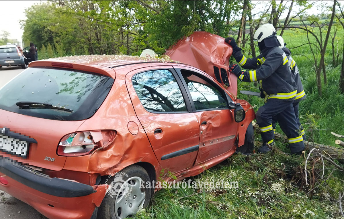 Kevermes és Pusztaföldvár közelében történt baleset az elmúlt napon. Lesodródott az útról és az út menti fák k