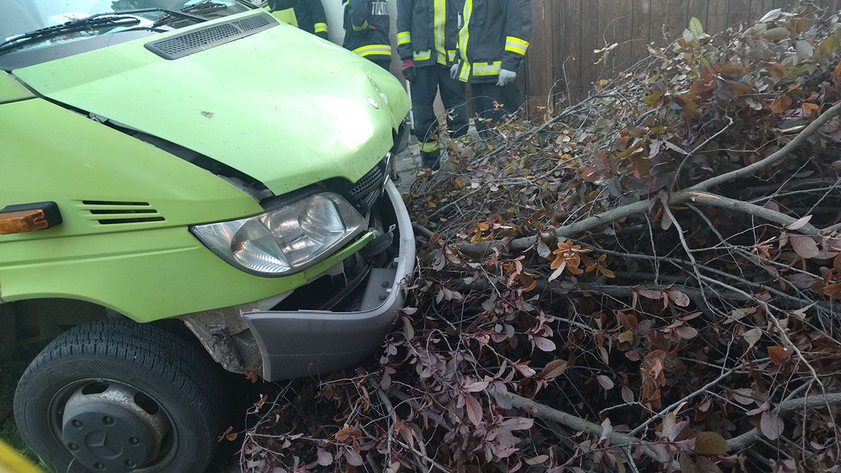 Fának csapódott egy kisteherautó Magyarbánhegyesen