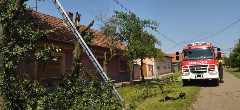 Telefonvezetékre szakadt egy faág Medgyesegyházán