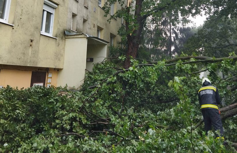 riasztották a tűzoltókat a zivataros időjárás miatt