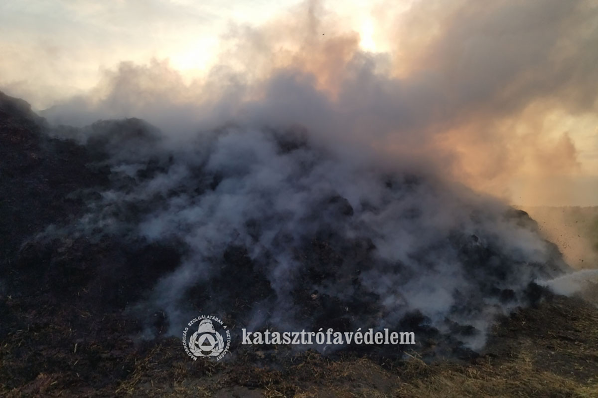 Kigyulladt egy trágyakazal Kamut