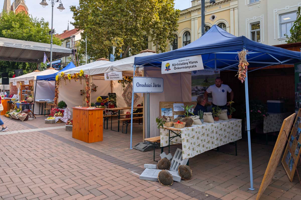 közfoglalkoztatási