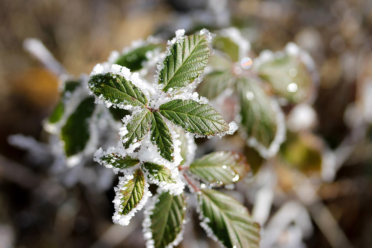 -16 fok is előfordult ma reggel hazánkban