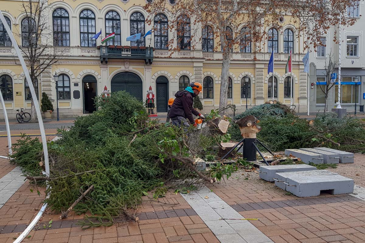 Szociális tüzelő lett Békéscsaba karácsonyfájából