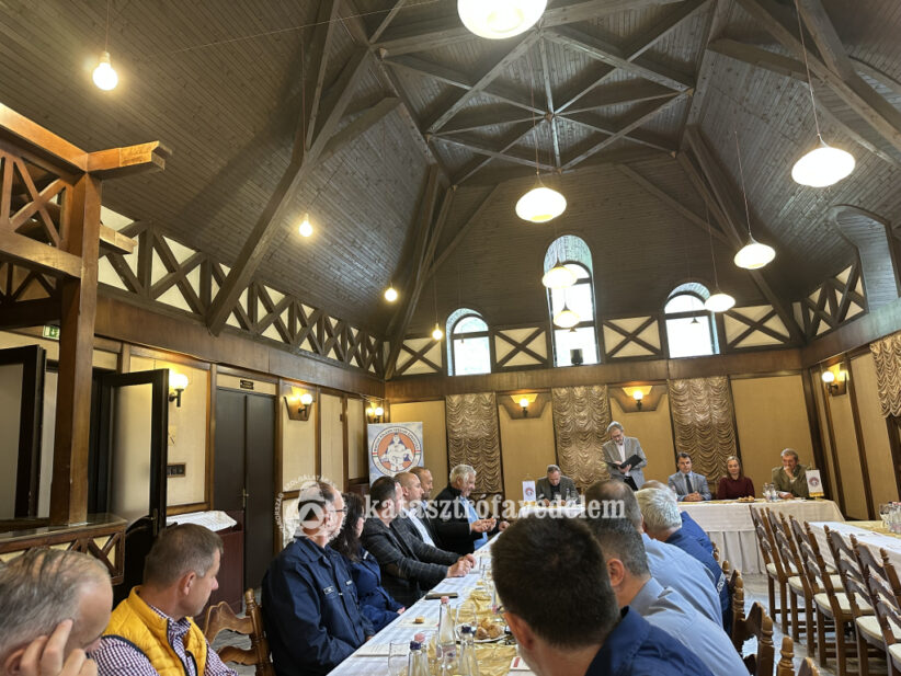 Katasztrófa