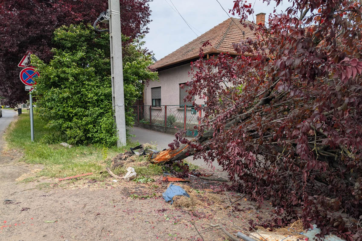 Kidőlt fa és törmelék jelzi a Dobozi úton történt balesetet