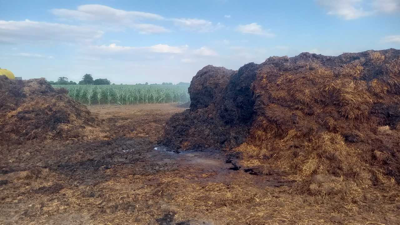 trágyakazal égett Gádoroson