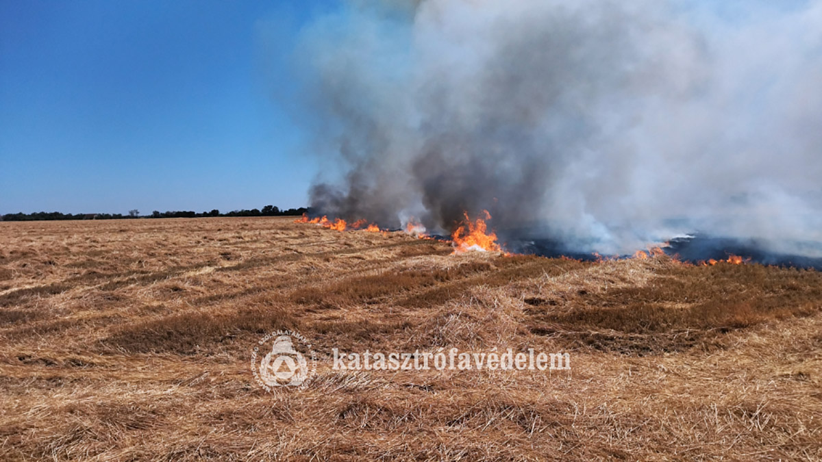Lángok pusztítottak Kétegyházán és Szarvas határában