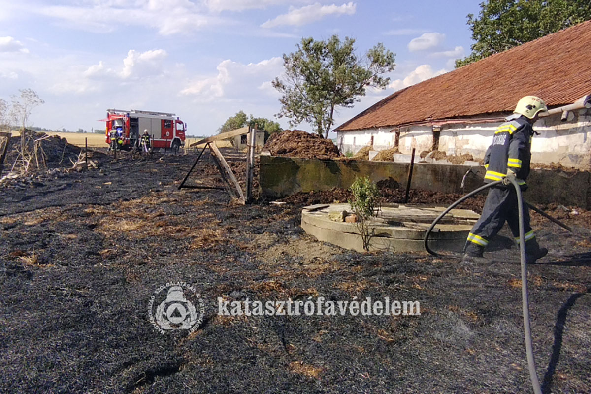 Háromhektáros tűz pusztított Hunya külterületén
