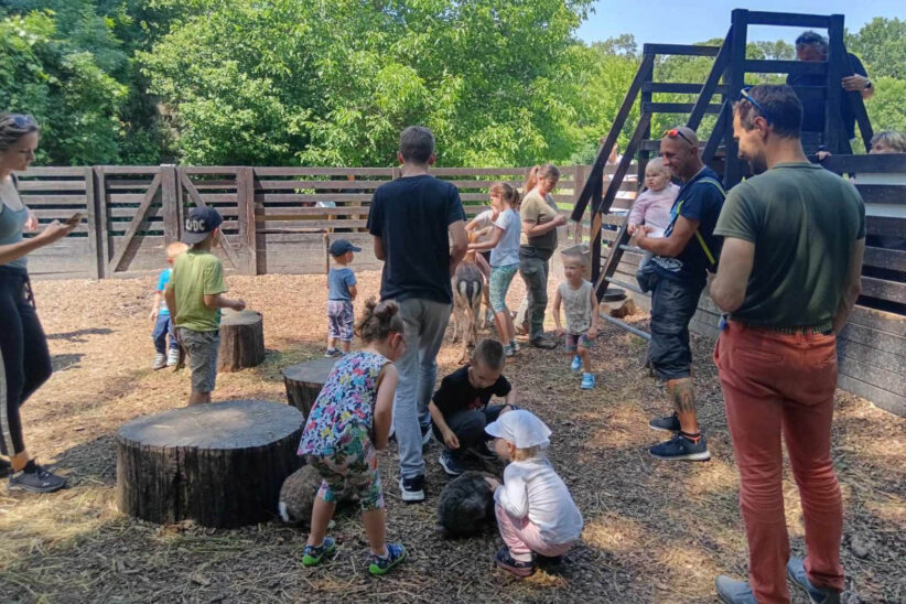 Körösvölgyi Állatpark