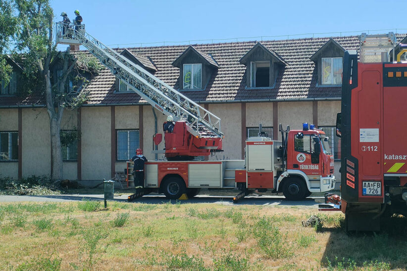 kidőlt fa, tűzoltó, vihar