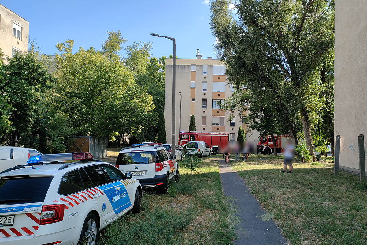 A városi hivatásos tűzoltók