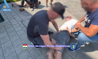 drogterjesztők elfogása Gyulán