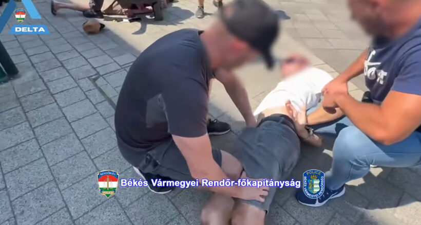 drogterjesztők elfogása Gyulán
