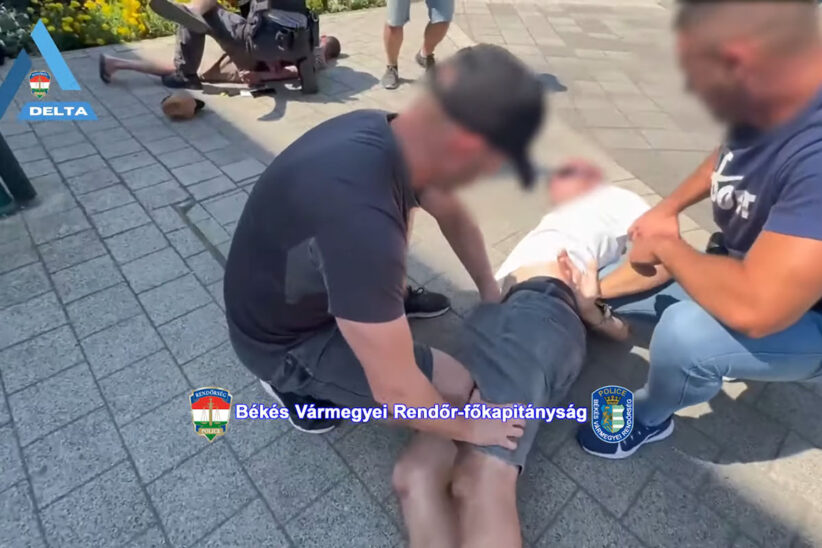 drogterjesztők elfogása Gyulán