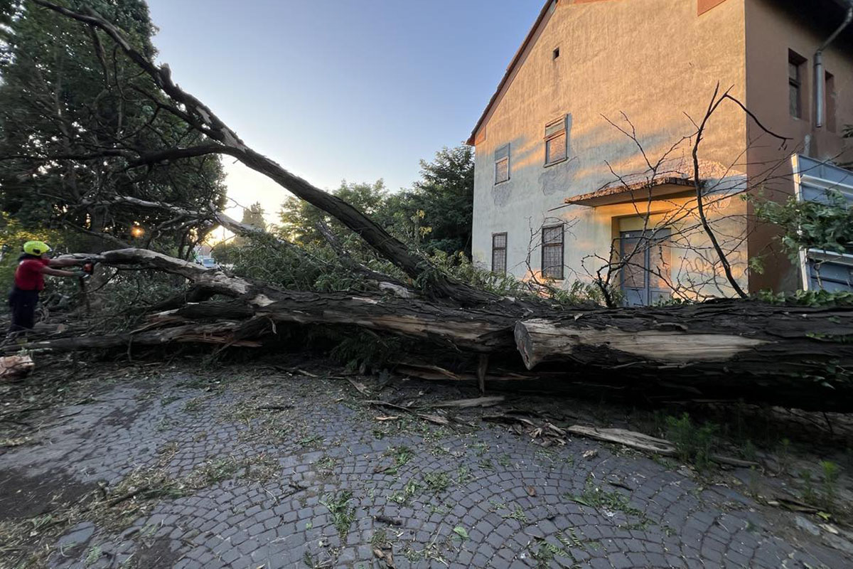 Országszerte több mint 2900 viharkár miatt riasztották a tűzoltókat