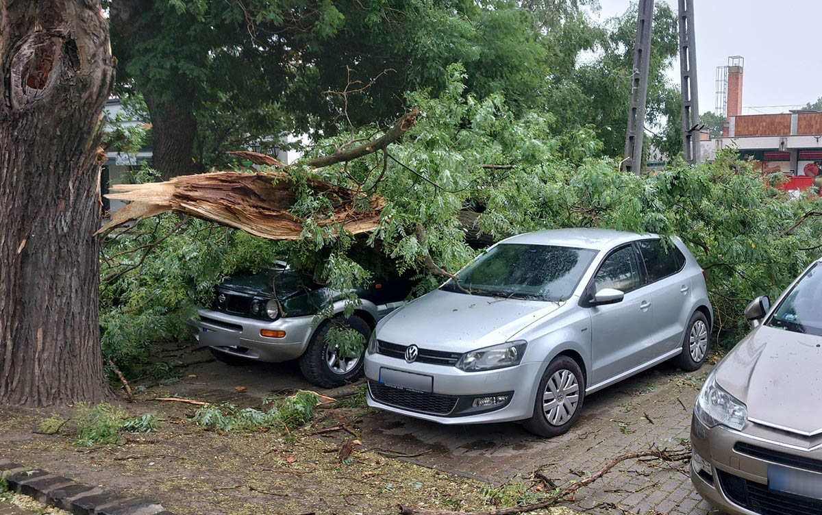 Tombolt a vihar Békésben – kidőlt fák, áramkimaradások, megrongálódott autók