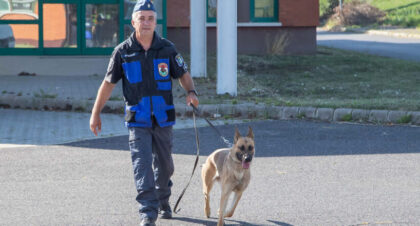 süti kutya, kábítószer fogás Gyula