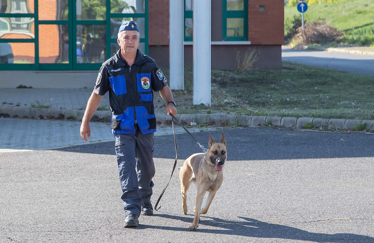 Süti, a rendőrkutyák új csillaga már az első bevetésén bizonyított