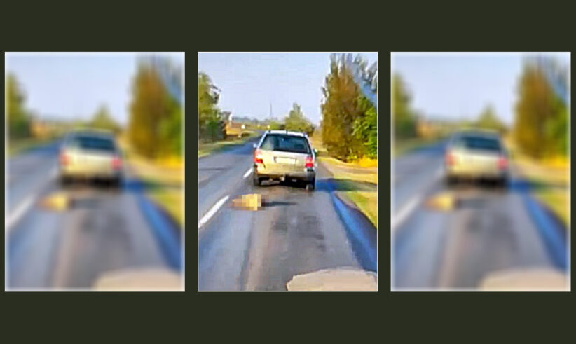 kocsival vonszolta kutyáját