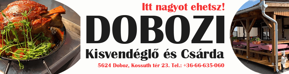https://koroshircentrum.hu/wp-content/uploads/2025/10/DOBOZI-KISVENDEGLO-BANNER-1.png