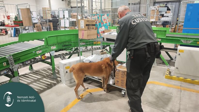 NAV postai elenőrzés