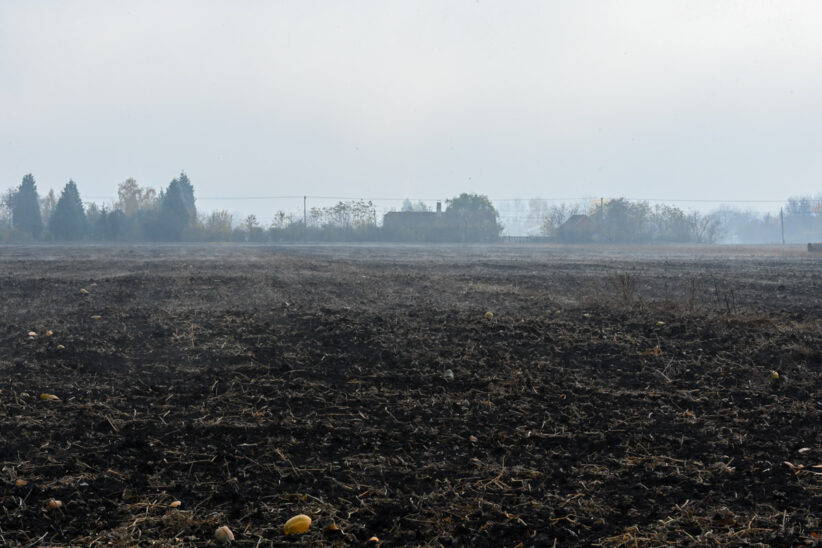 köd, bála, szántóföld, agrár, időjárás