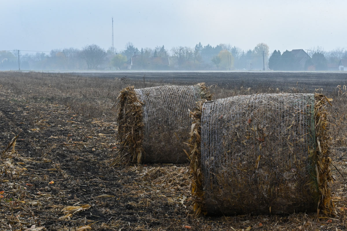 Elkezdődött a talajok őszi-téli feltöltődése