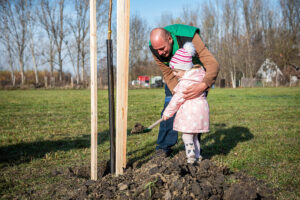 faültetés Békésen